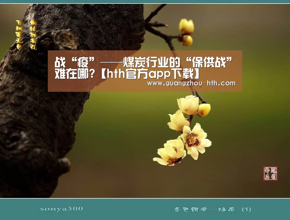 战“疫”——煤炭行业的“保供战”难在哪?【hth官方app下载】(图2)